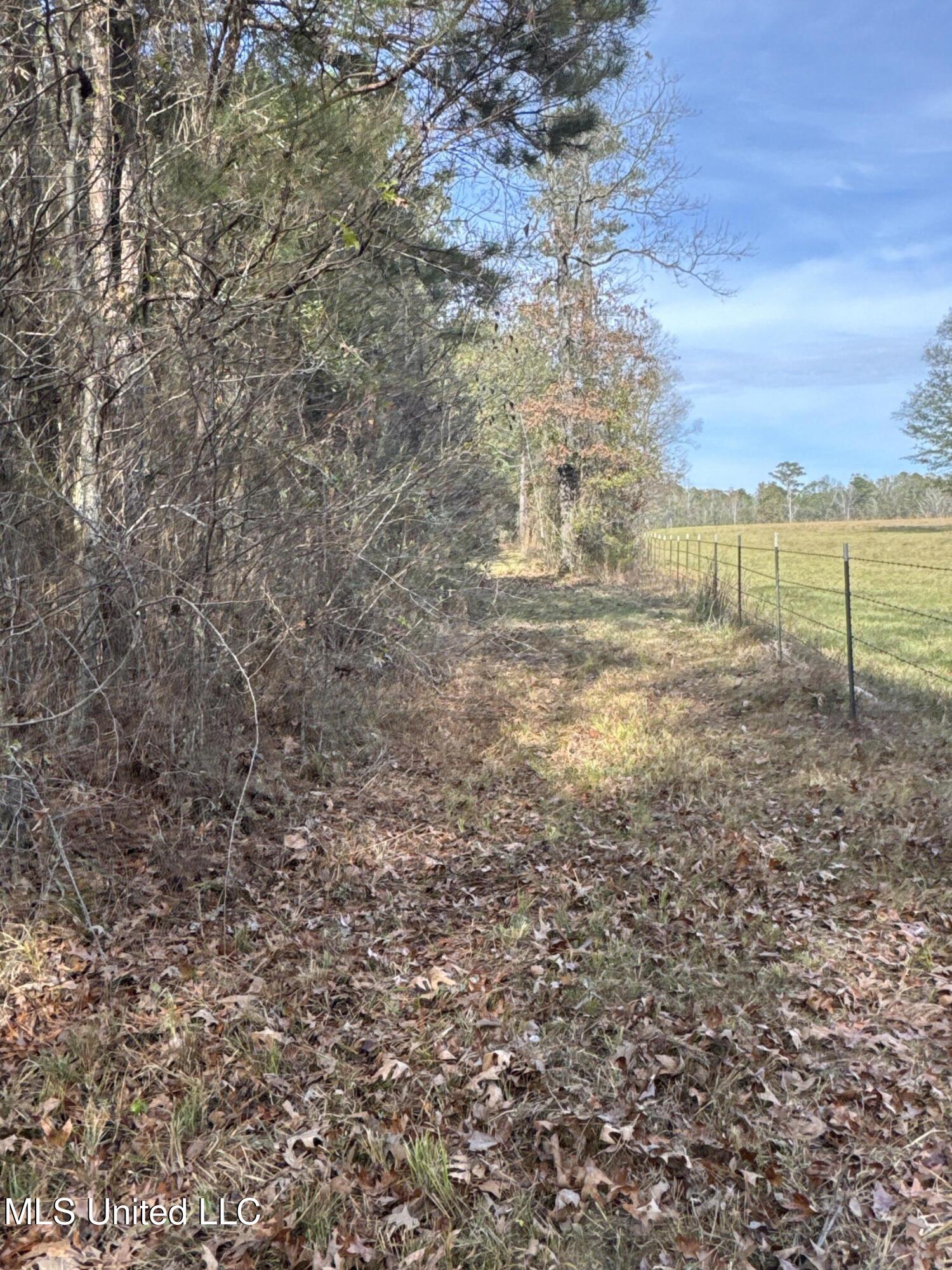 4 Whiddon Road Canton, MS 39046 - Photo 18 of 45 IMG_1618