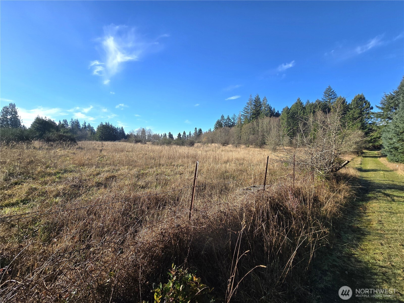 0 Garden Hill Road East Elma, WA 98541 - Photo 4 of 11 Gallery Image 4