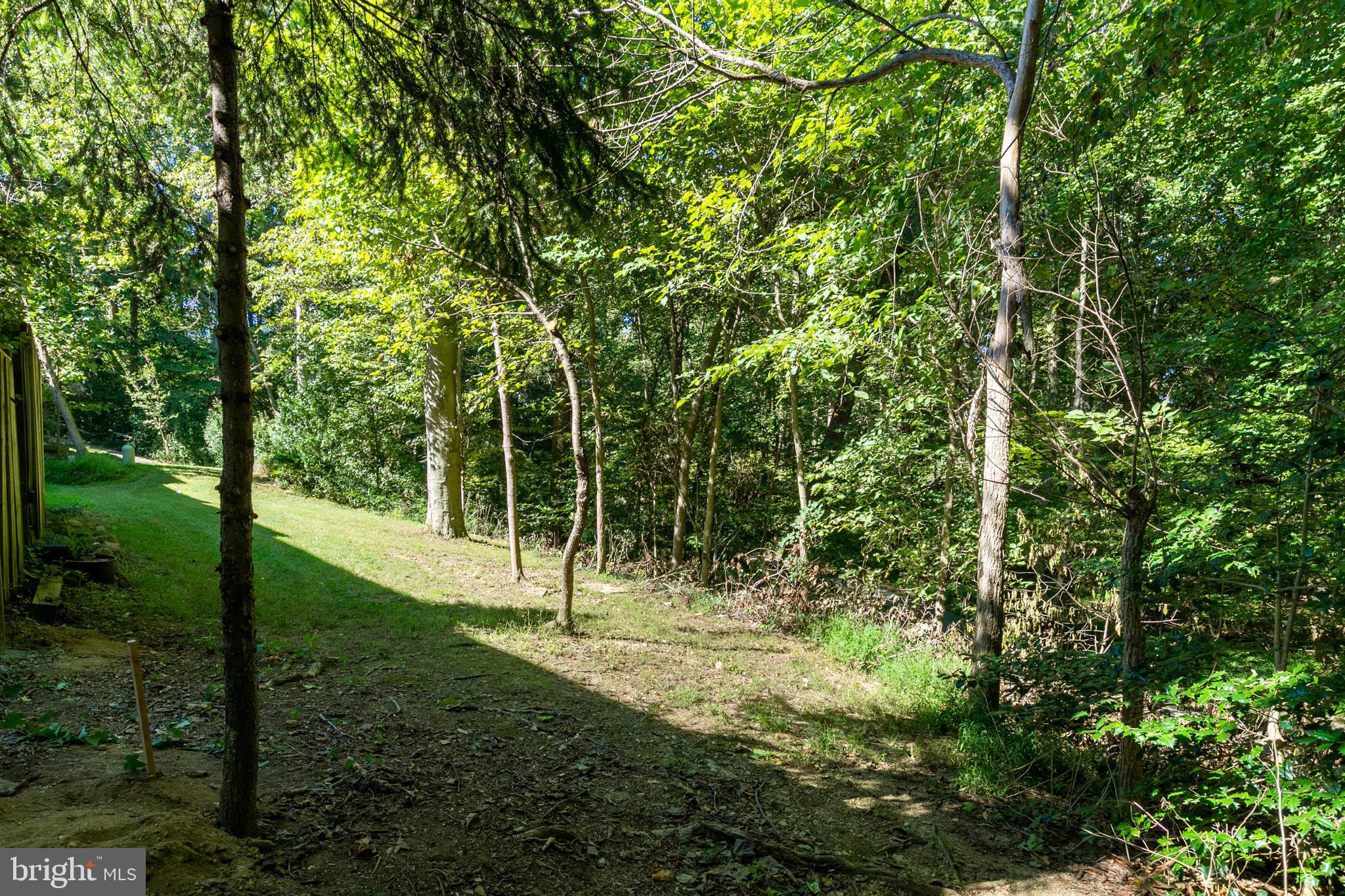 8918 Footed Ridge Columbia, MD 21045 - Photo 20 of 24 Back Yard