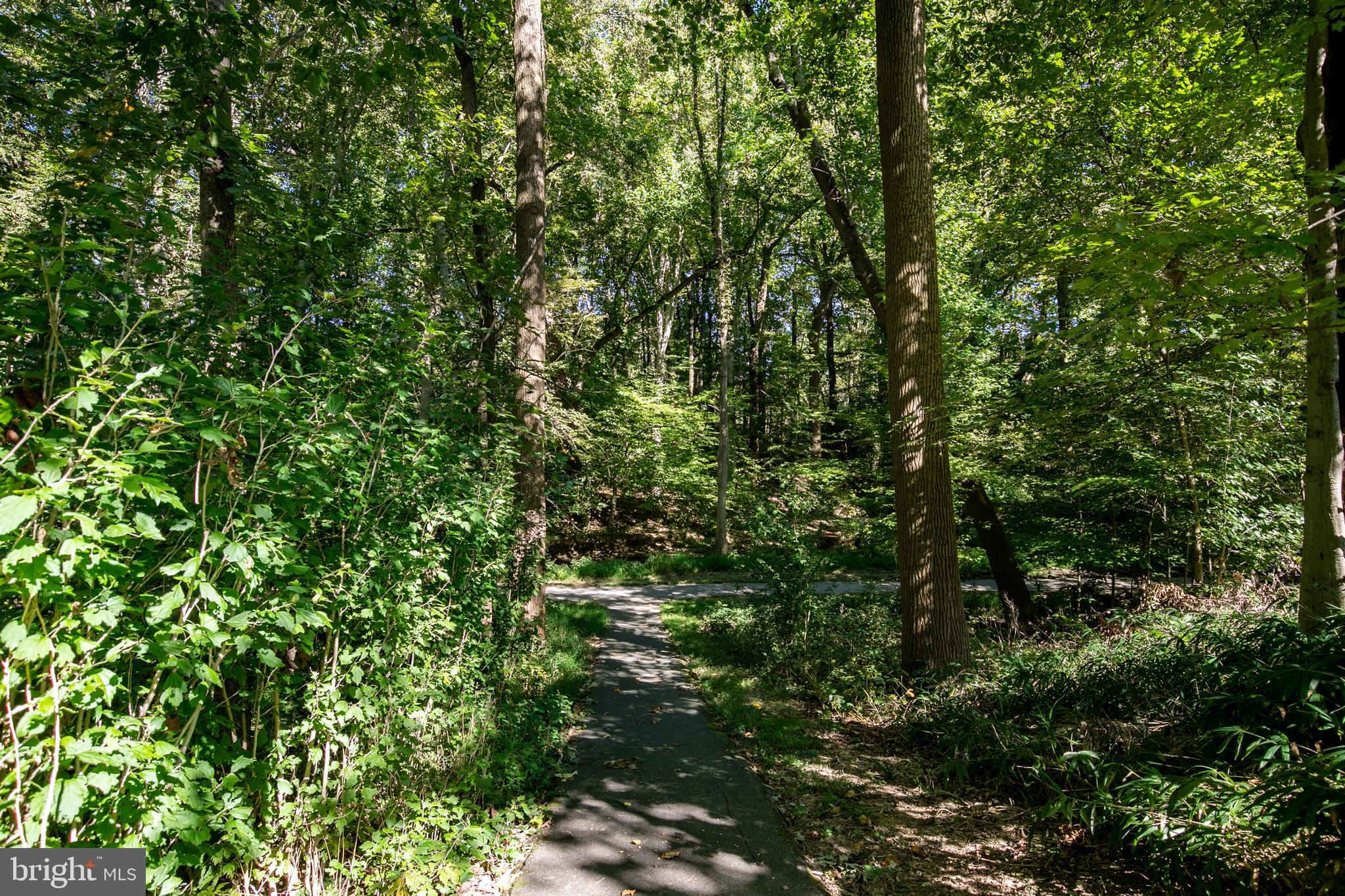 8918 Footed Ridge Columbia, MD 21045 - Photo 24 of 24 Walking Paths