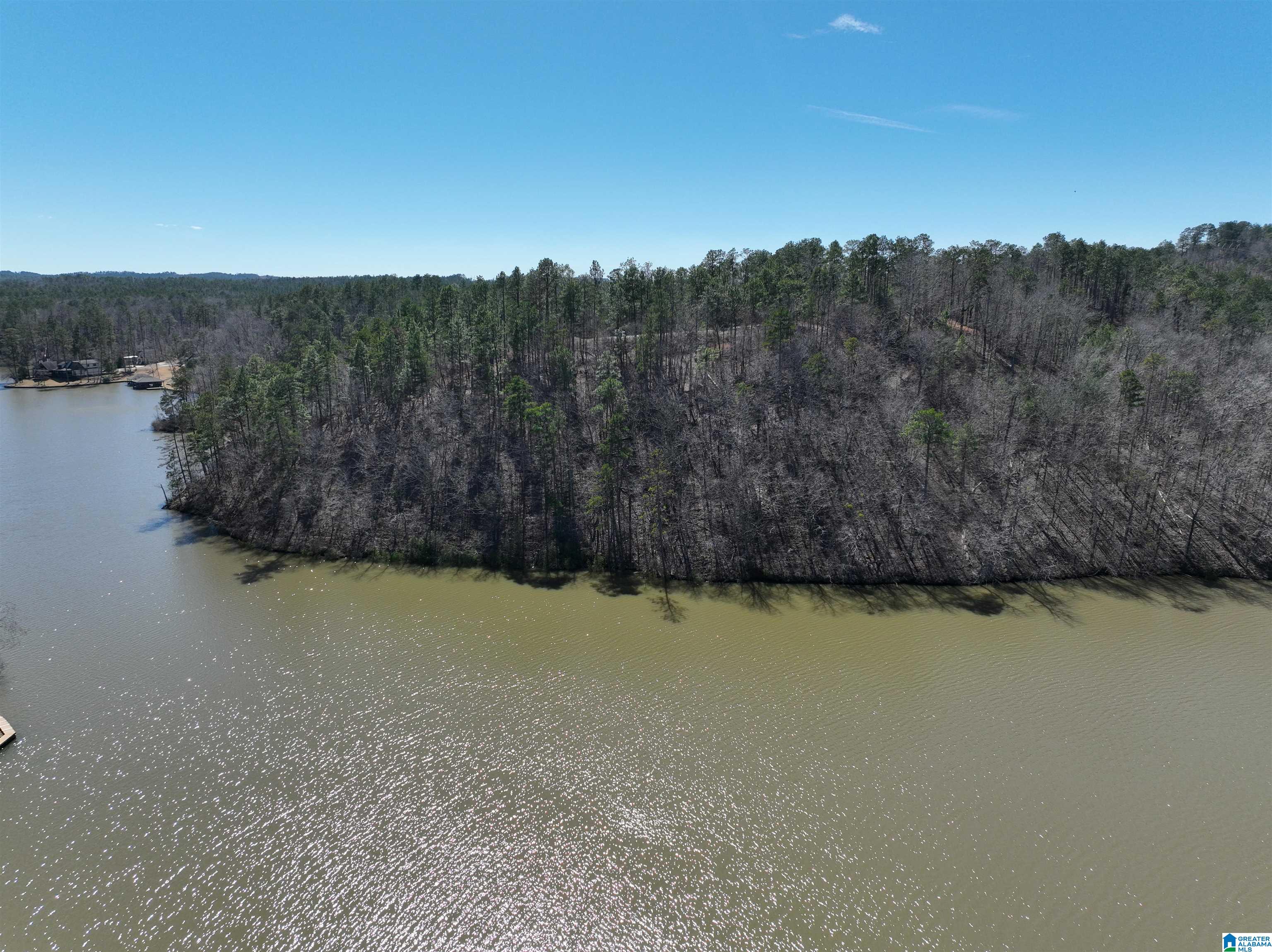 0 Preserve Road, Unit LOT 1 Rockford, AL 35136 - Photo 7 of 7