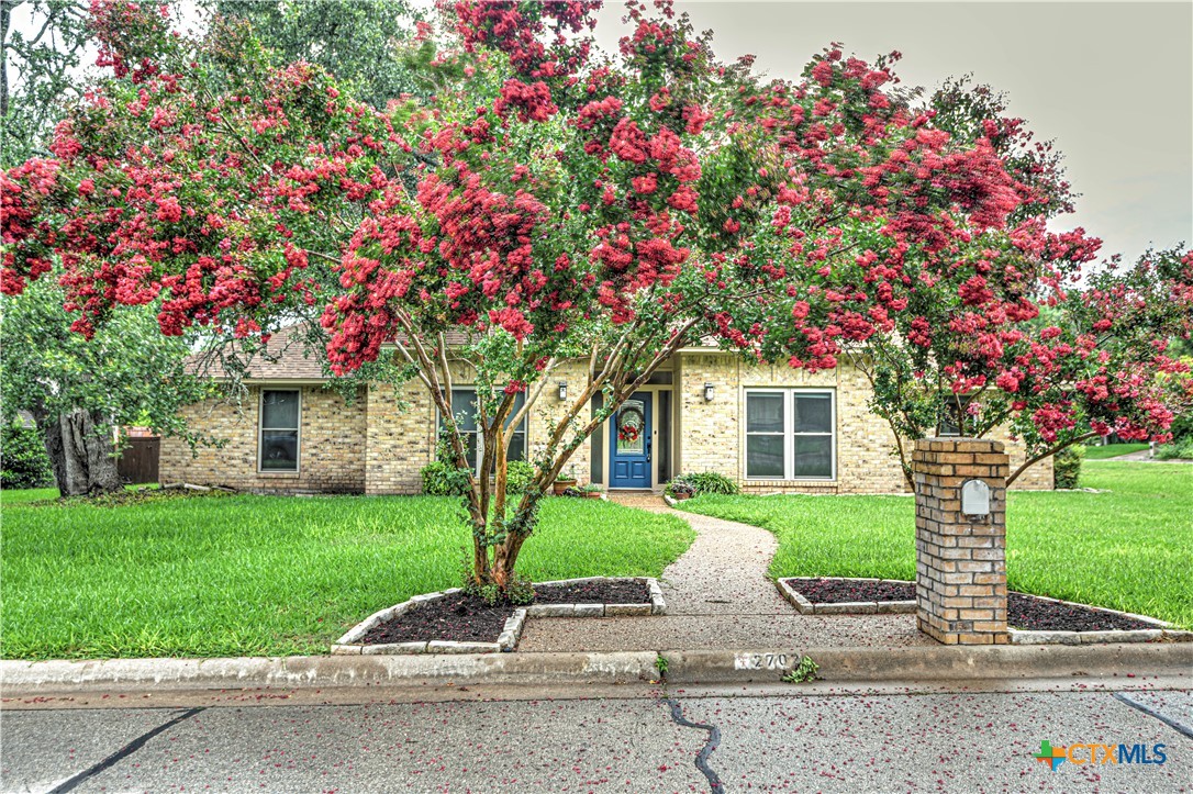 a front view of a house with yard