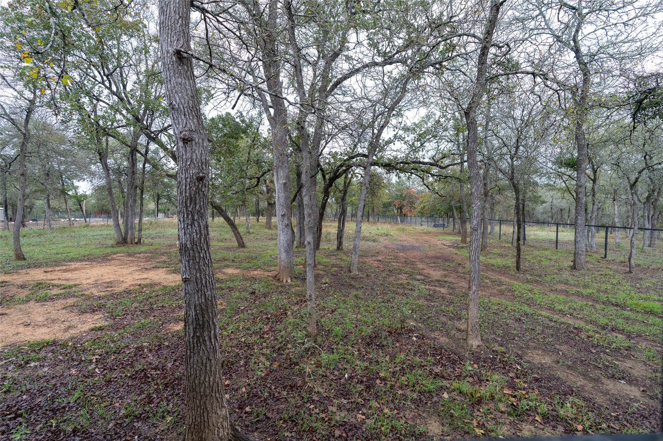 362 St Johns Road Dale, TX 78616 - Photo 3 of 26 View of yard