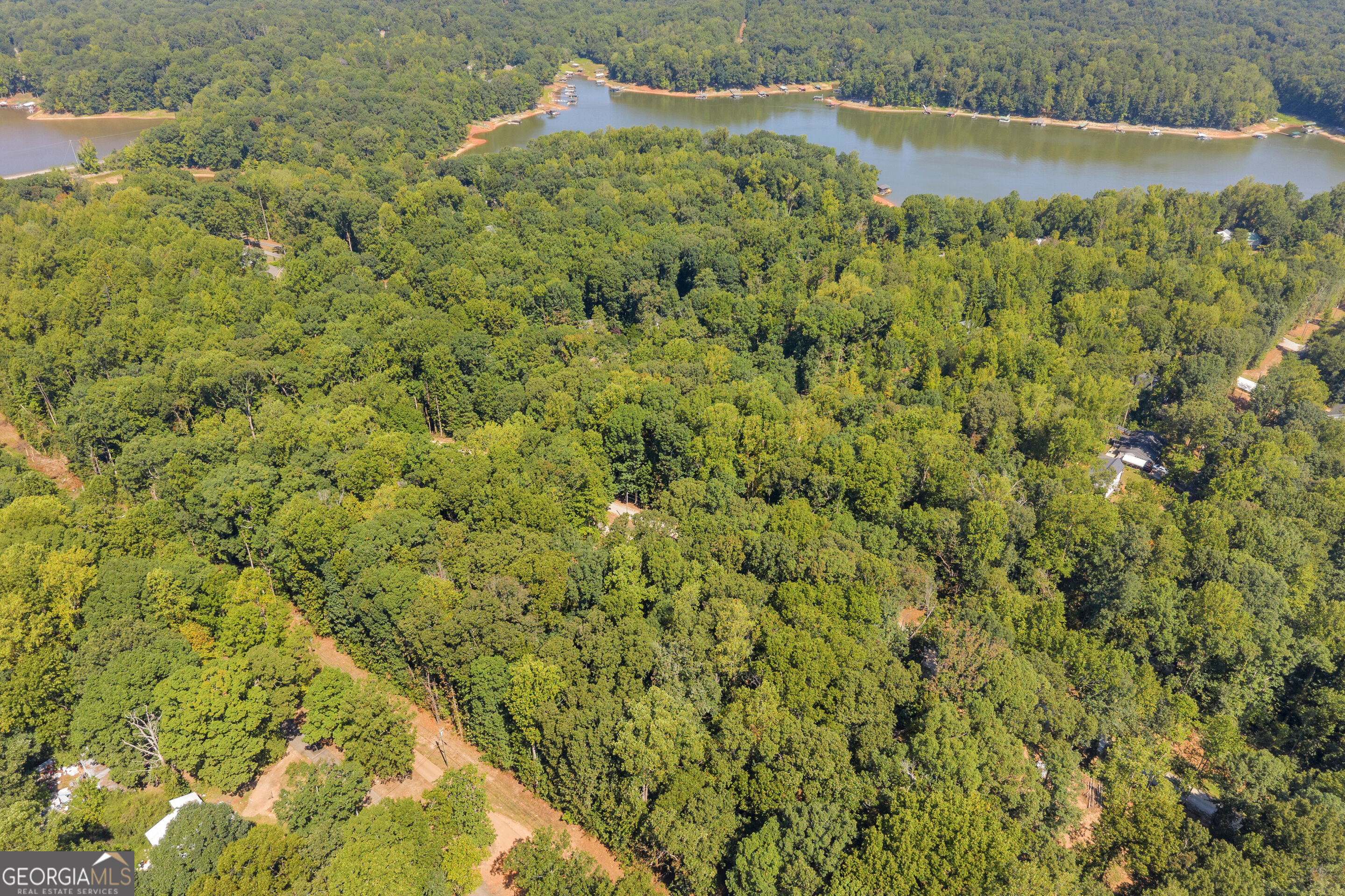 0 Ridgeview Court Lavonia, GA 30553 - Photo 20 of 28 Gallery Image 20