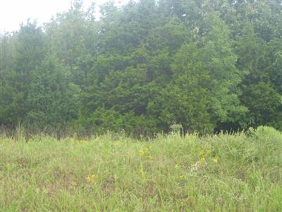 37 Red Clover Road Strafford, MO 65757 - Photo 1 of 1 Primary Photo