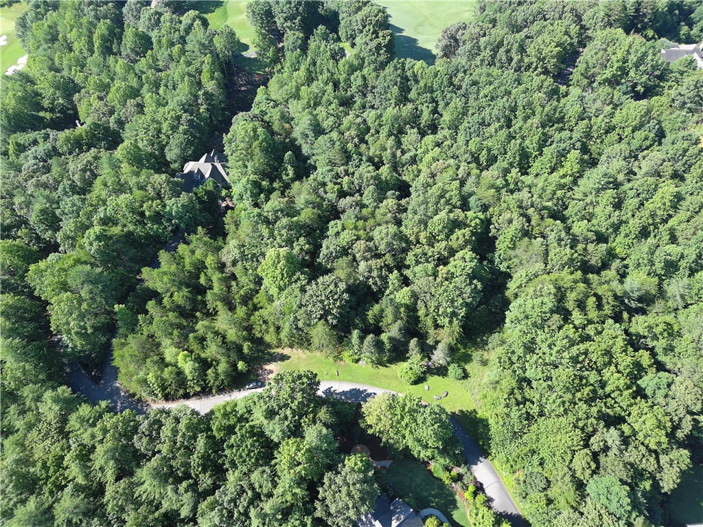 112 Links View Court Sunset, SC 29685 - Photo 5 of 9 An aerial perspective reveals a secluded residence nestled within a vast, verdant expanse of trees.