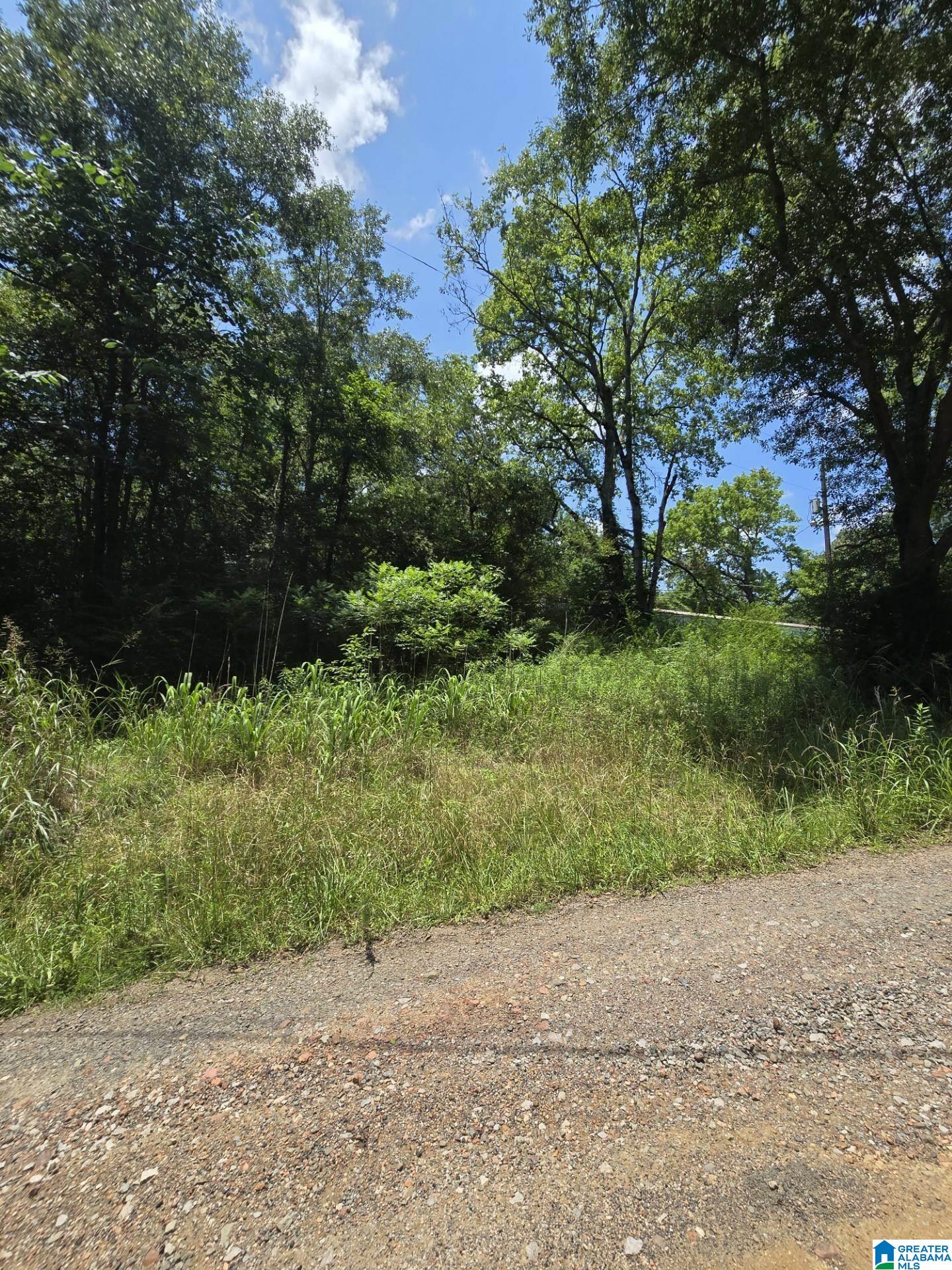 39 Thomas Road Cordova, AL 35550 - Photo 1 of 7