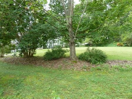 594 Winding Way Road Boones Mill, VA 24065 - Photo 29 of 31 28 Yard