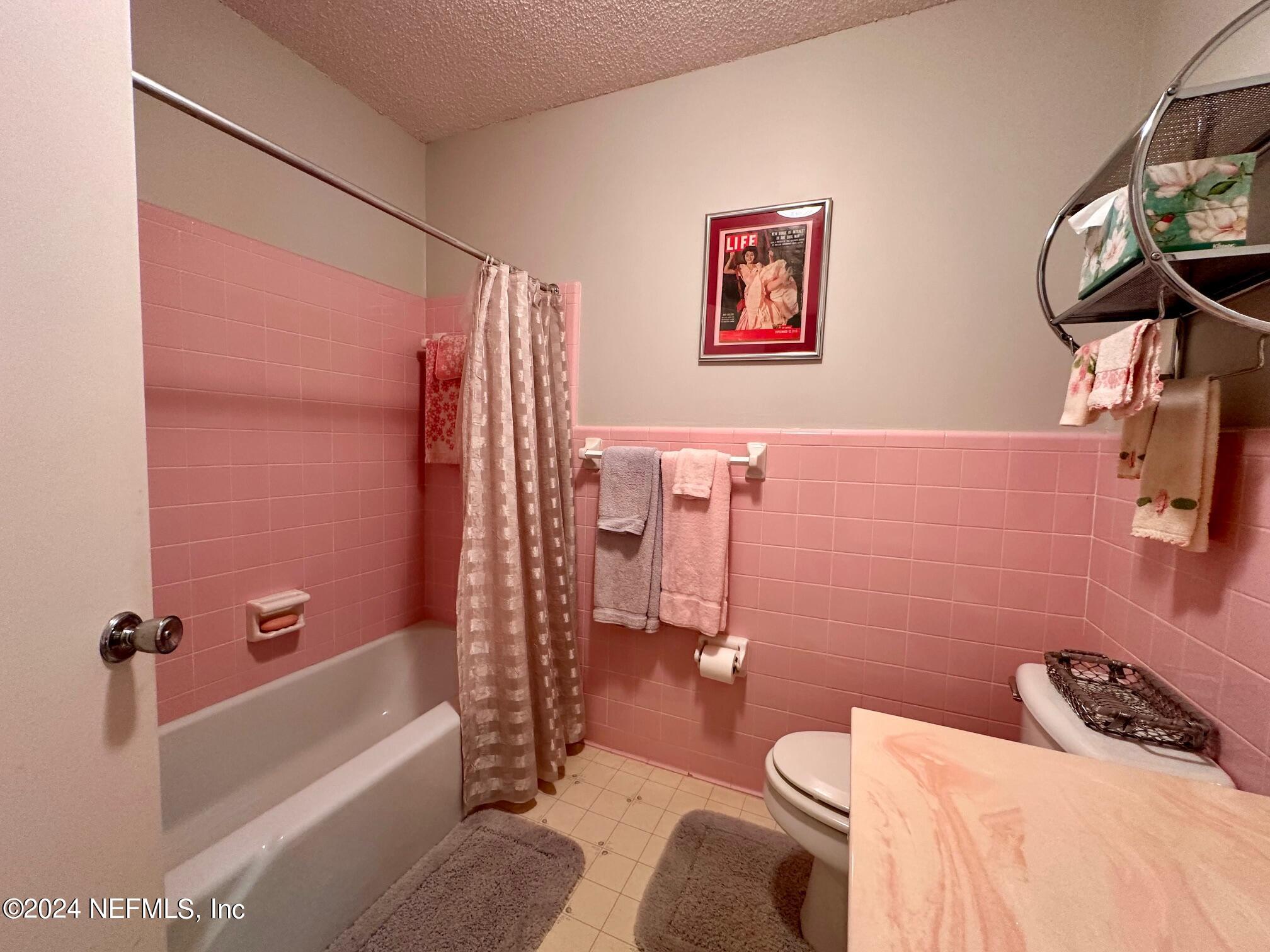 254 Beulah Church Road Welaka, FL 32112 - Photo 21 of 37 a bathroom with a sink a toilet and shower