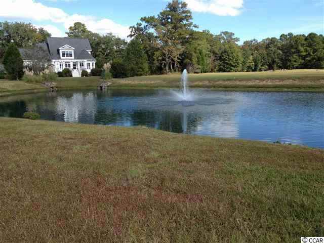 9 Hagar Brown Road Murrells Inlet, SC 29576 - Photo 3 of 7 Gallery Image 3