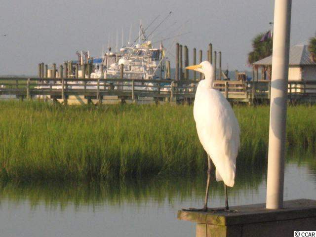 9 Hagar Brown Road Murrells Inlet, SC 29576 - Photo 5 of 7 Gallery Image 5