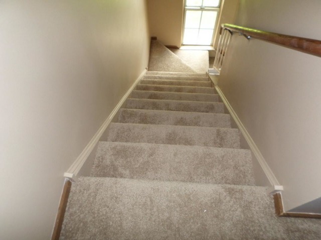 41 North Oltendorf Road Streamwood, IL 60107 - Photo 17 of 24