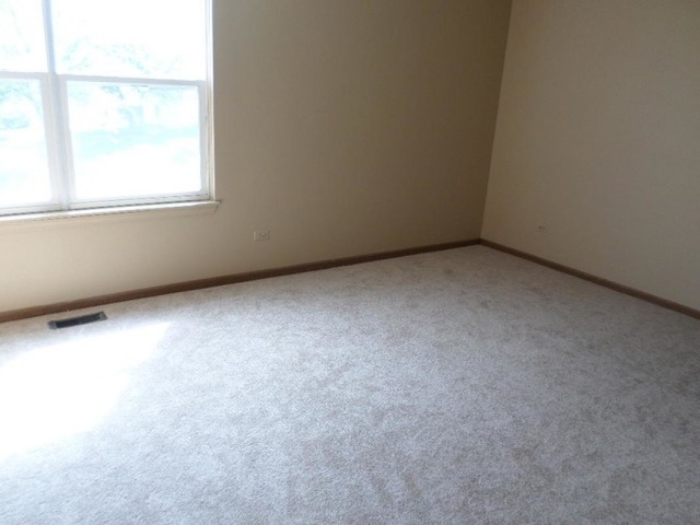 41 North Oltendorf Road Streamwood, IL 60107 - Photo 22 of 24