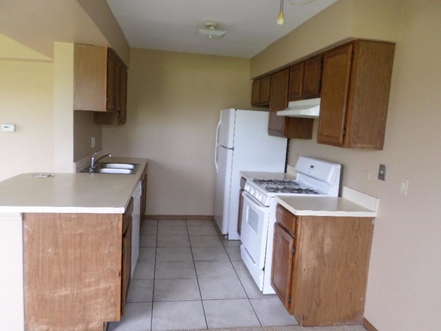 41 North Oltendorf Road Streamwood, IL 60107 - Photo 9 of 24