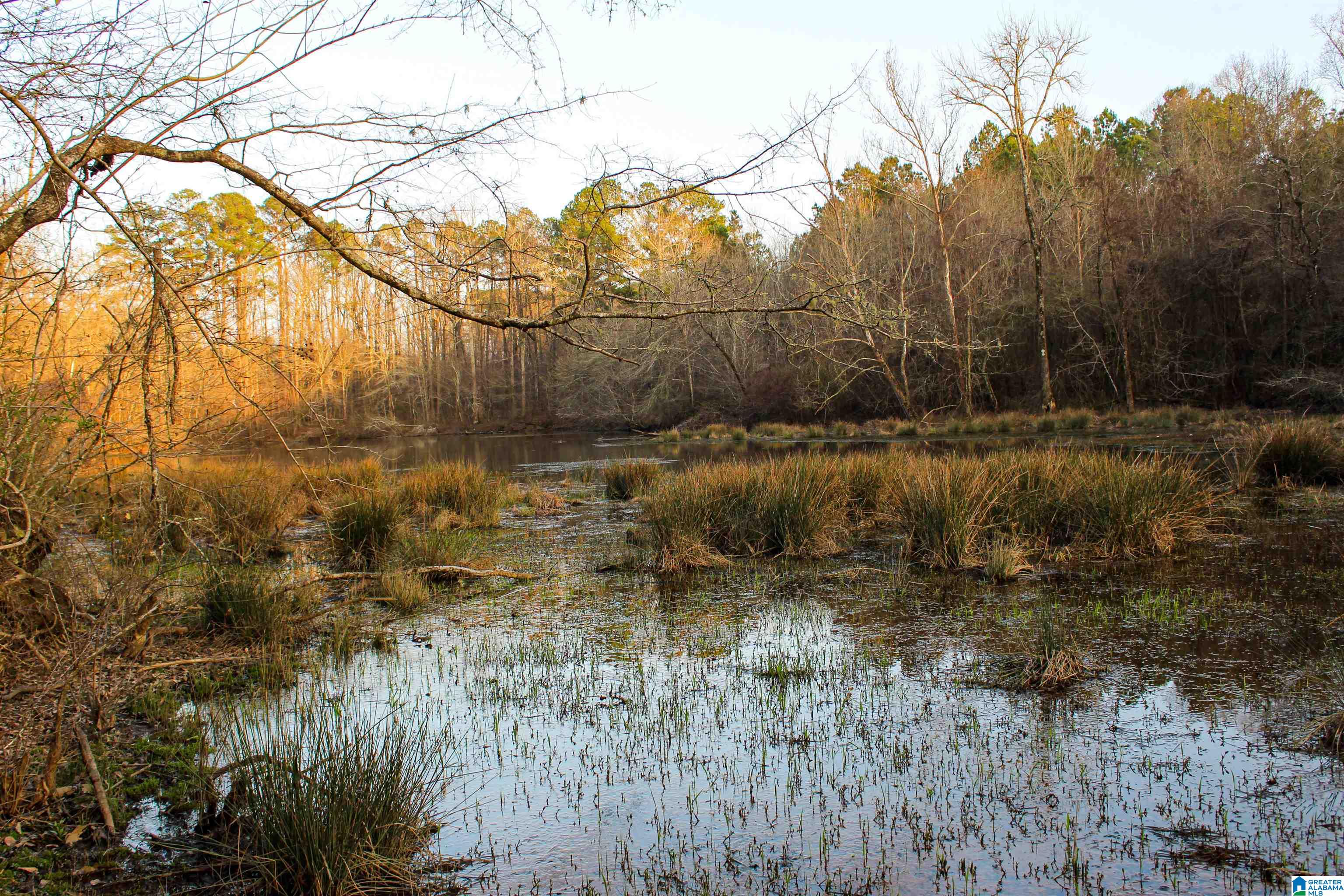 0 Parsons Loop Road Mulga, AL 35118 - Photo 18 of 38