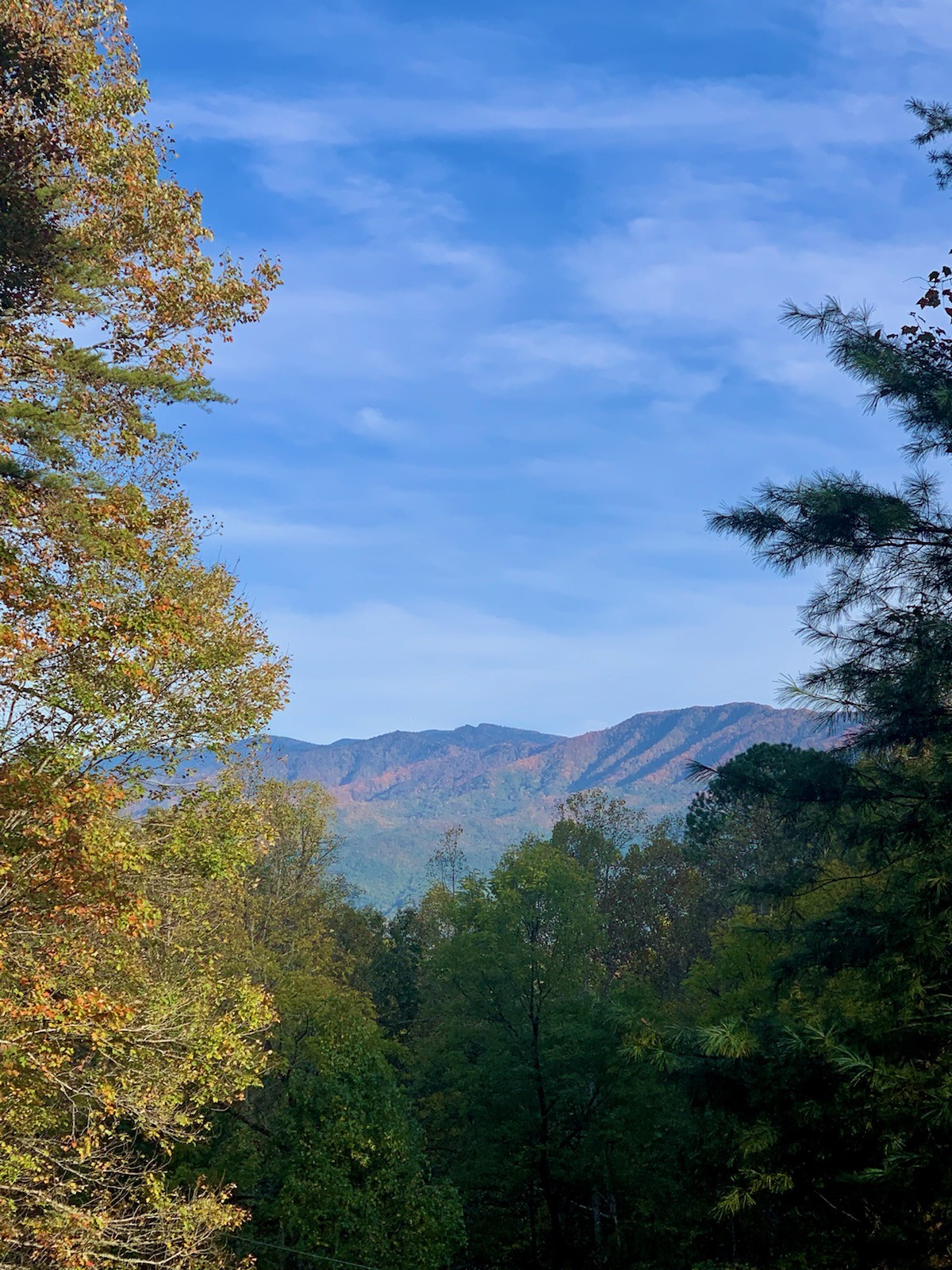 2701 Grassy Branch Road Sevierville, TN 37876 - Photo 3 of 43