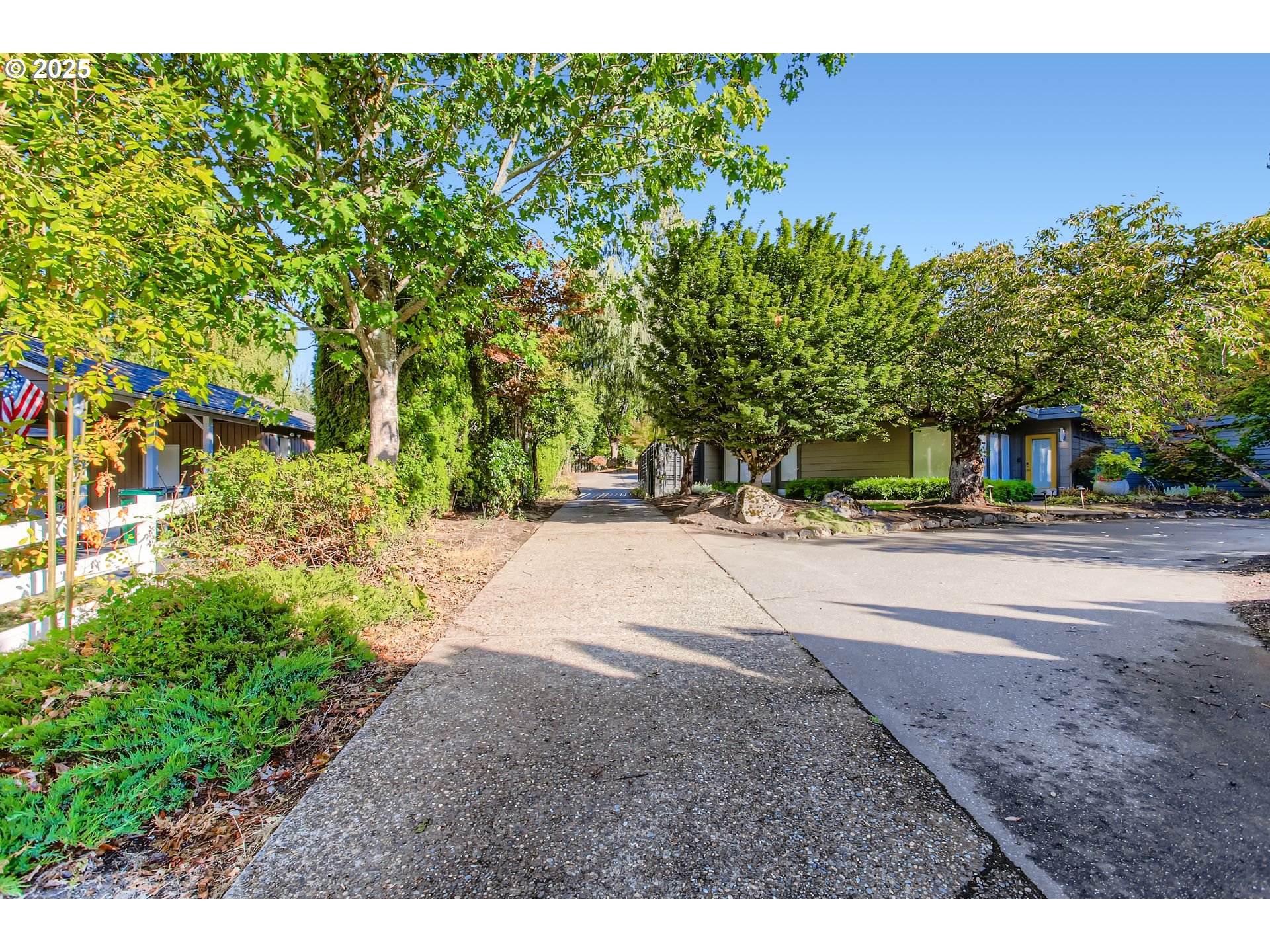 8409 Southwest Jamieson Road Portland, OR 97225 - Photo 28 of 28 a view of road with plants and trees