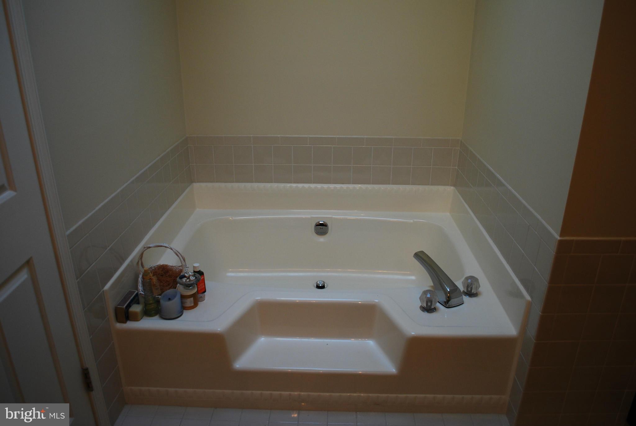 9515 Sweet Grass Ridge Columbia, MD 21046 - Photo 14 of 20 Bath (Master)