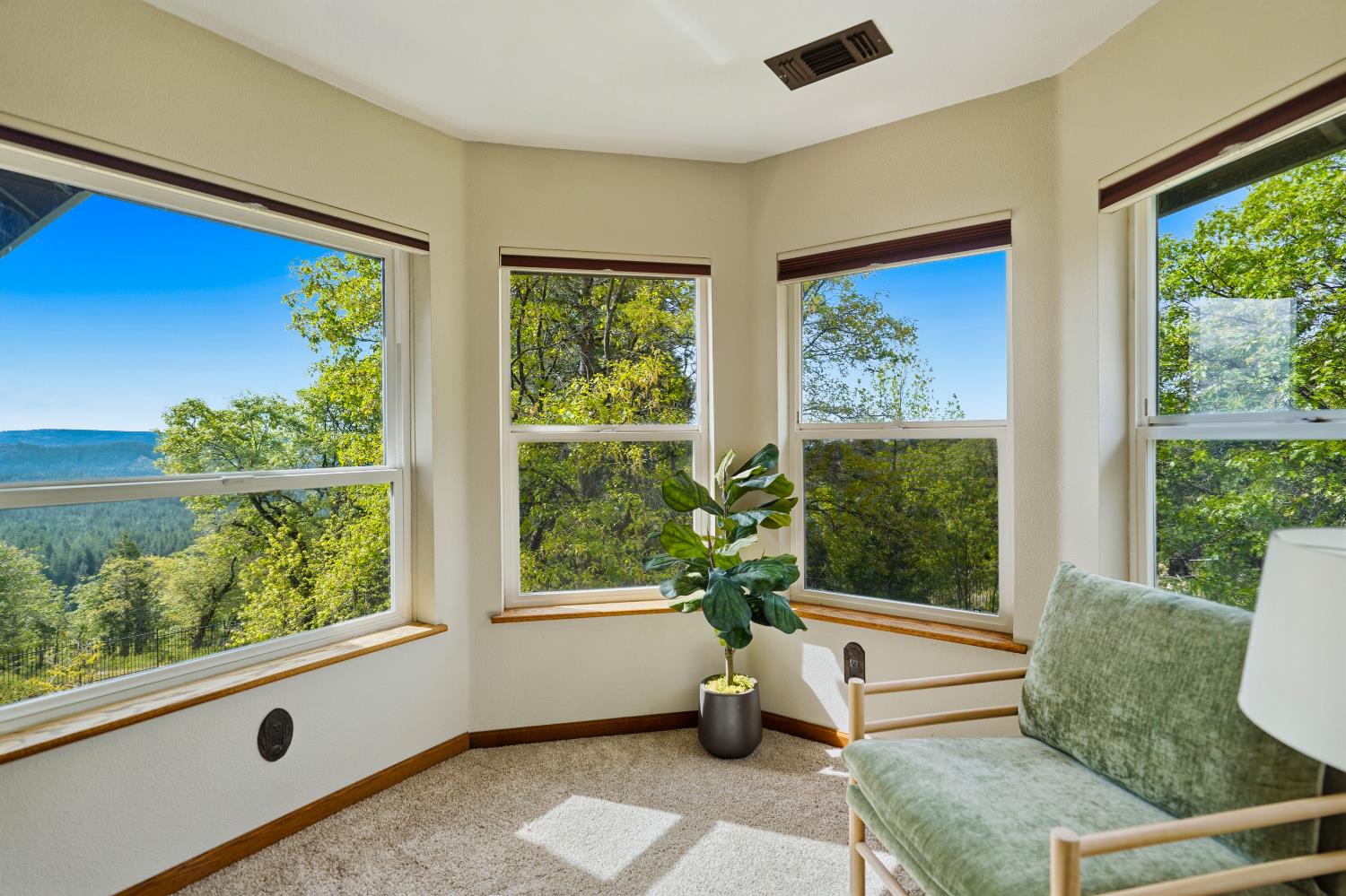 39000 Kearsarge Mill Road Alta, CA 95715 - Photo 21 of 65