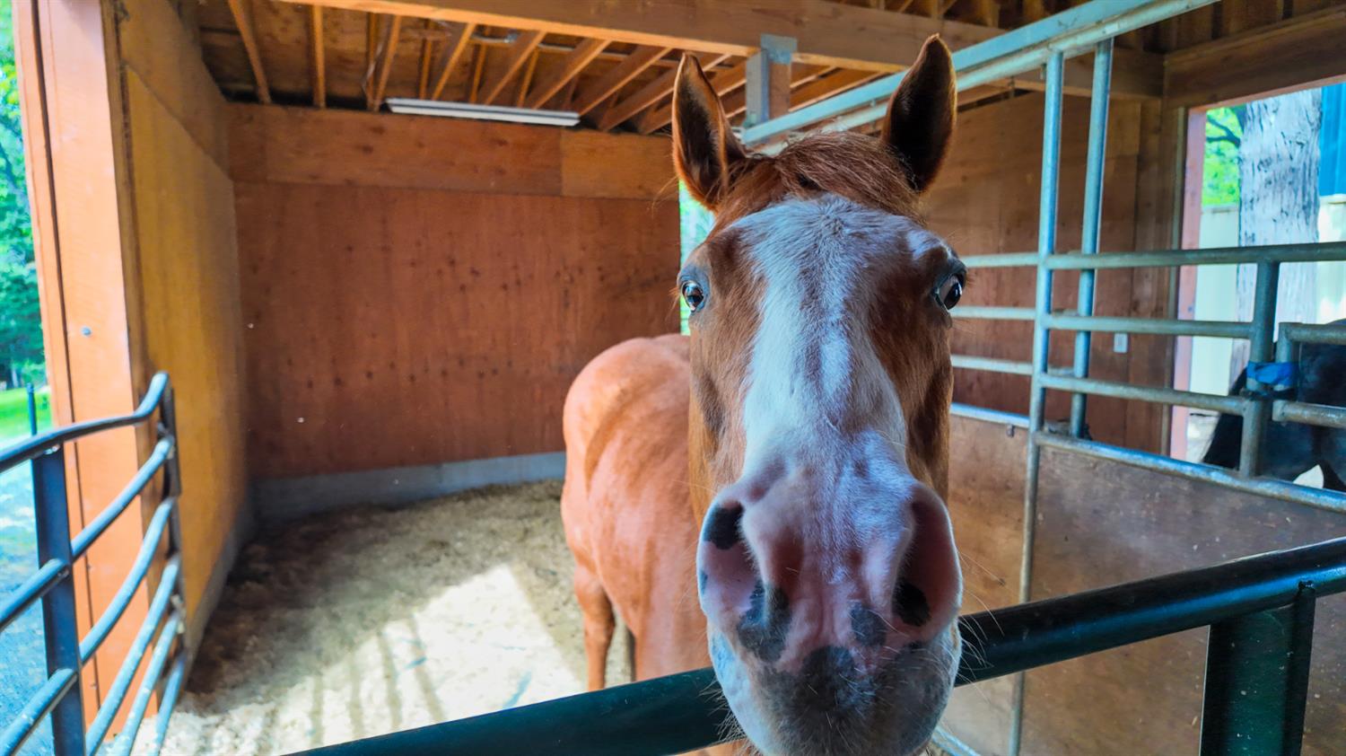 39000 Kearsarge Mill Road Alta, CA 95715 - Photo 46 of 65