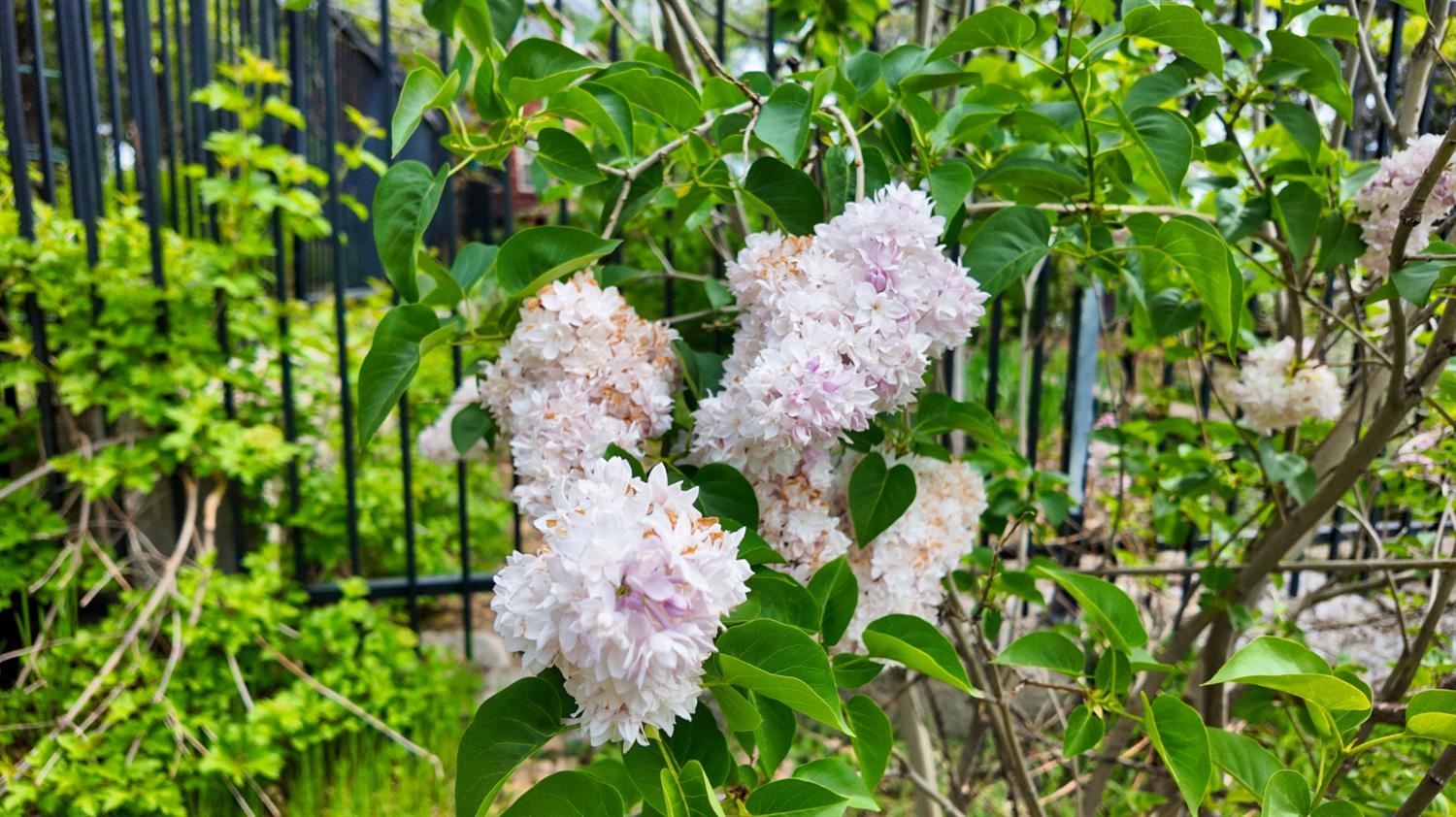 39000 Kearsarge Mill Road Alta, CA 95715 - Photo 57 of 65