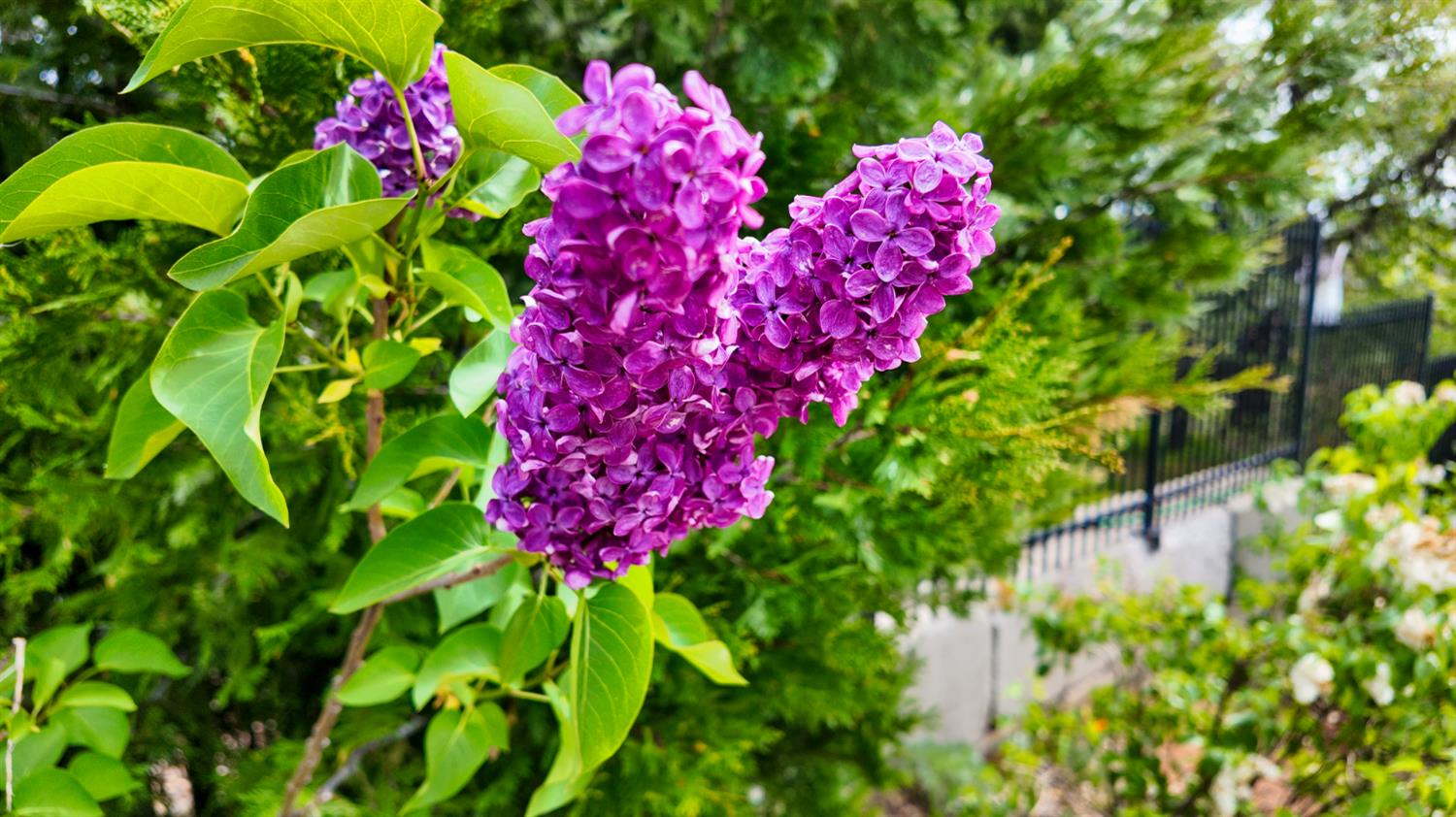 39000 Kearsarge Mill Road Alta, CA 95715 - Photo 59 of 65