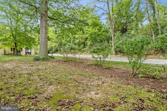 a view of outdoor space with deck and tree