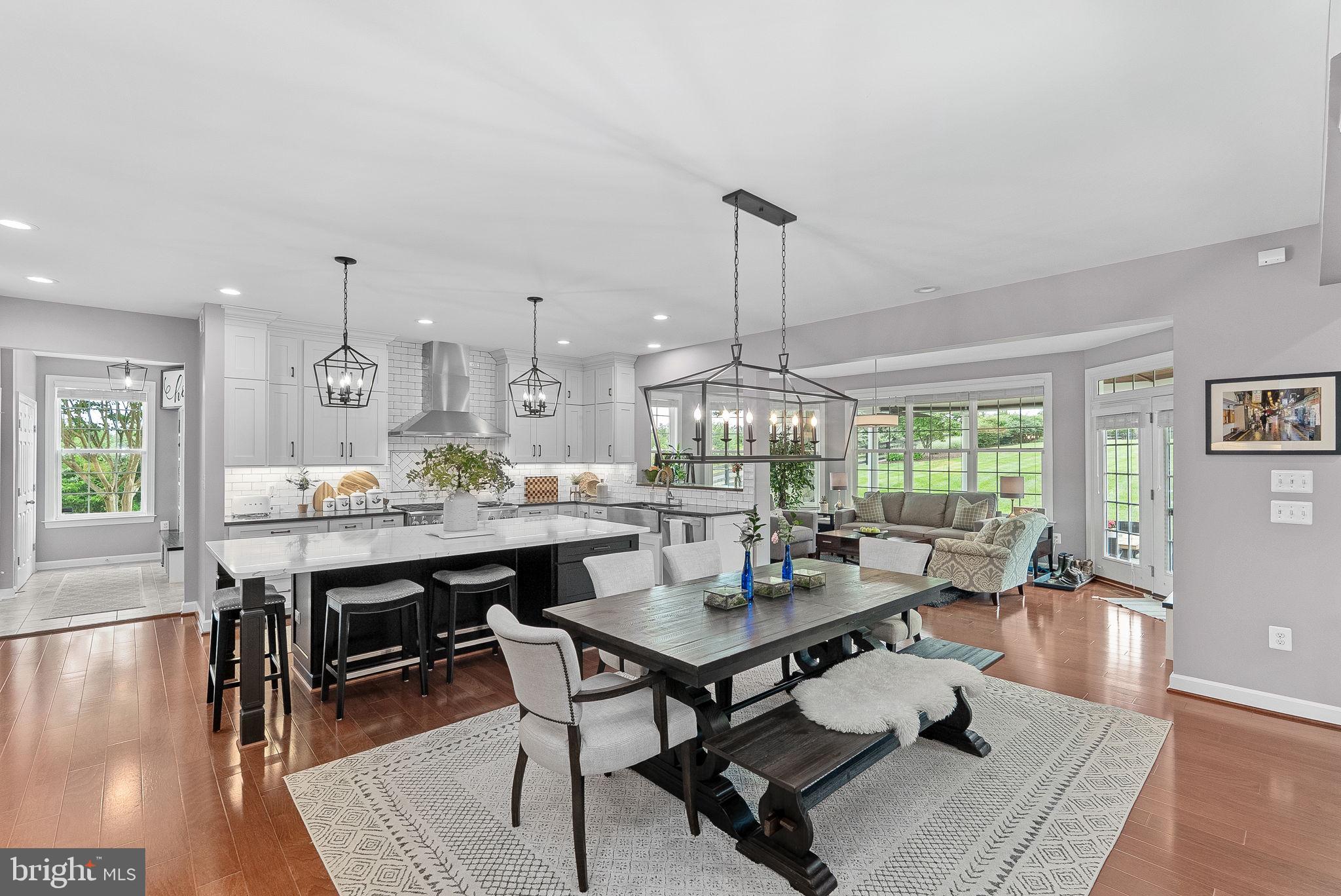 22415 Conservancy Drive Ashburn, VA 20148 - Photo 11 of 70 Renovated Kitchen
