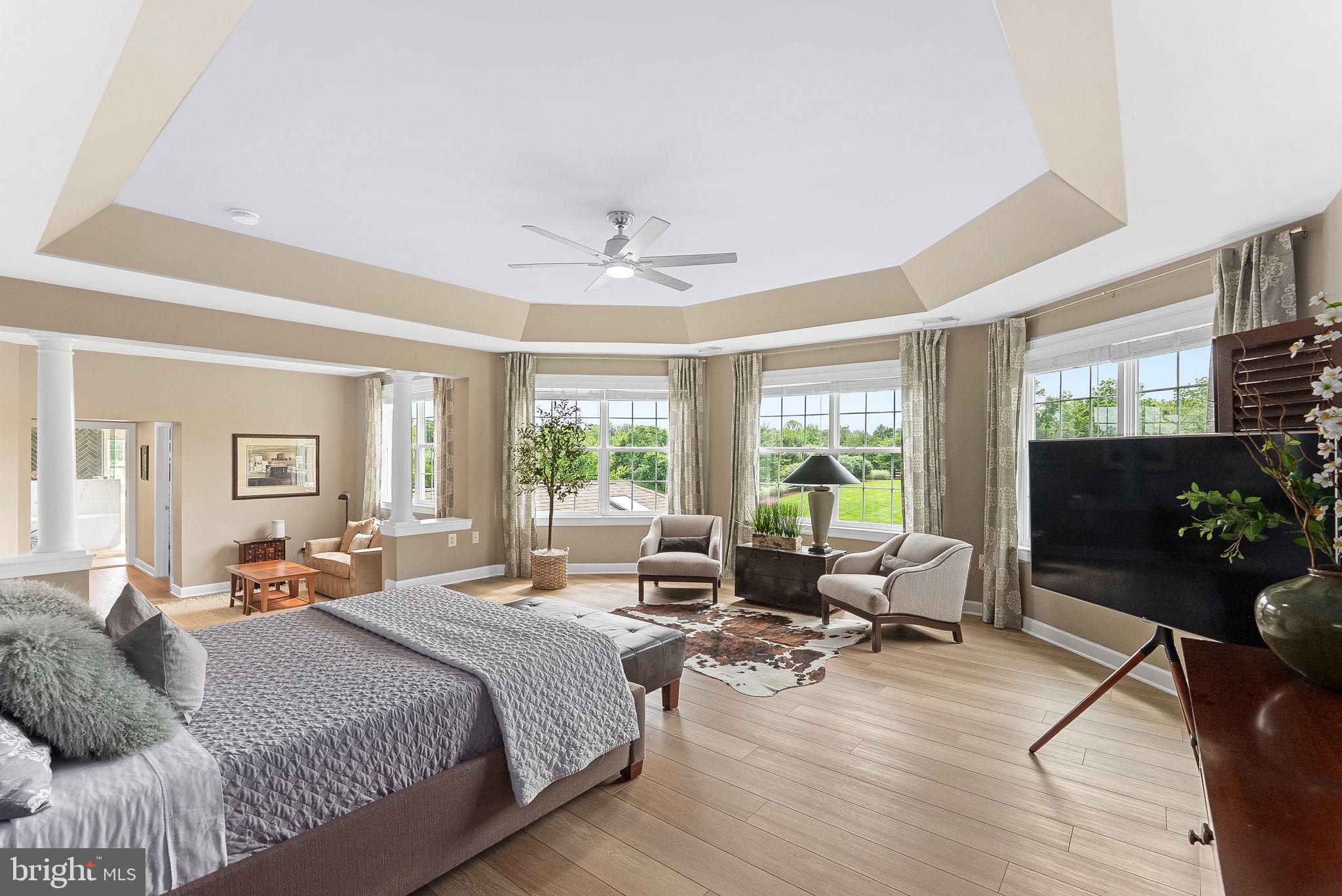 22415 Conservancy Drive Ashburn, VA 20148 - Photo 27 of 70 Wall of Windows and Tray Ceiling