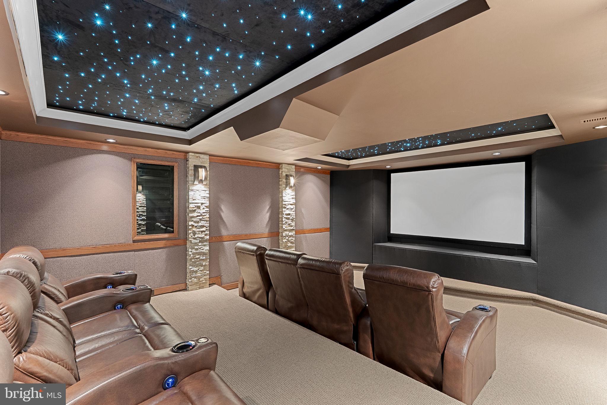 22415 Conservancy Drive Ashburn, VA 20148 - Photo 44 of 70 State-of-the-Art Sound Proofed Home Theatre