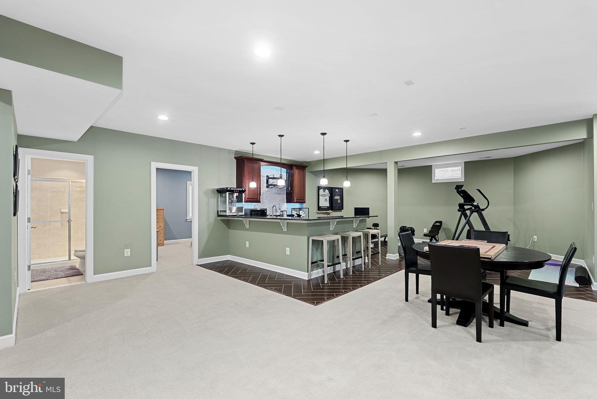 22415 Conservancy Drive Ashburn, VA 20148 - Photo 46 of 70 Lower Level - ENTERTAIN, PLAY & EXERCISE