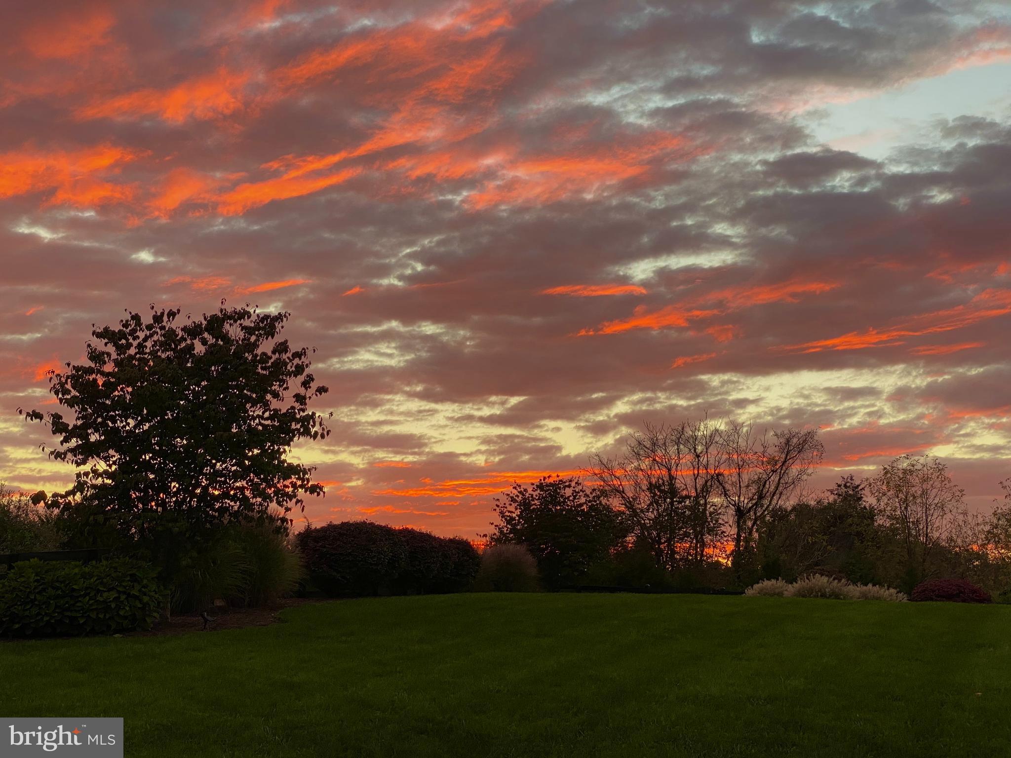 22415 Conservancy Drive Ashburn, VA 20148 - Photo 66 of 70 Unobstructed Evening Sunset from the Backyard