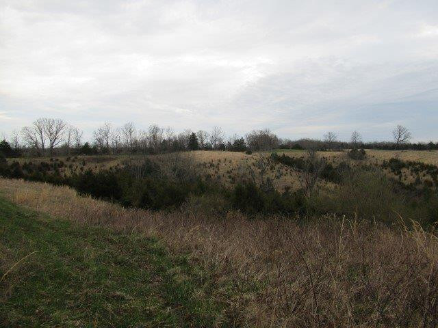 1234 Hyatt Road Lawrenceburg, KY 40342 - Photo 22 of 29 Photo 22