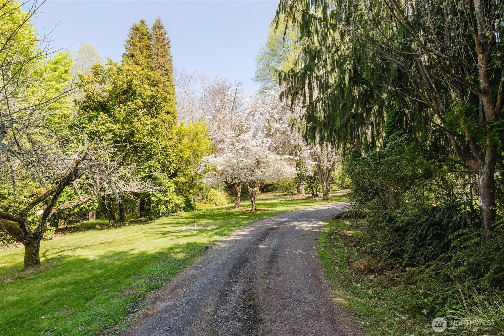 105 Schoolhouse Road Brinnon, WA 98320 - Photo 27 of 39 a view of a yard with trees