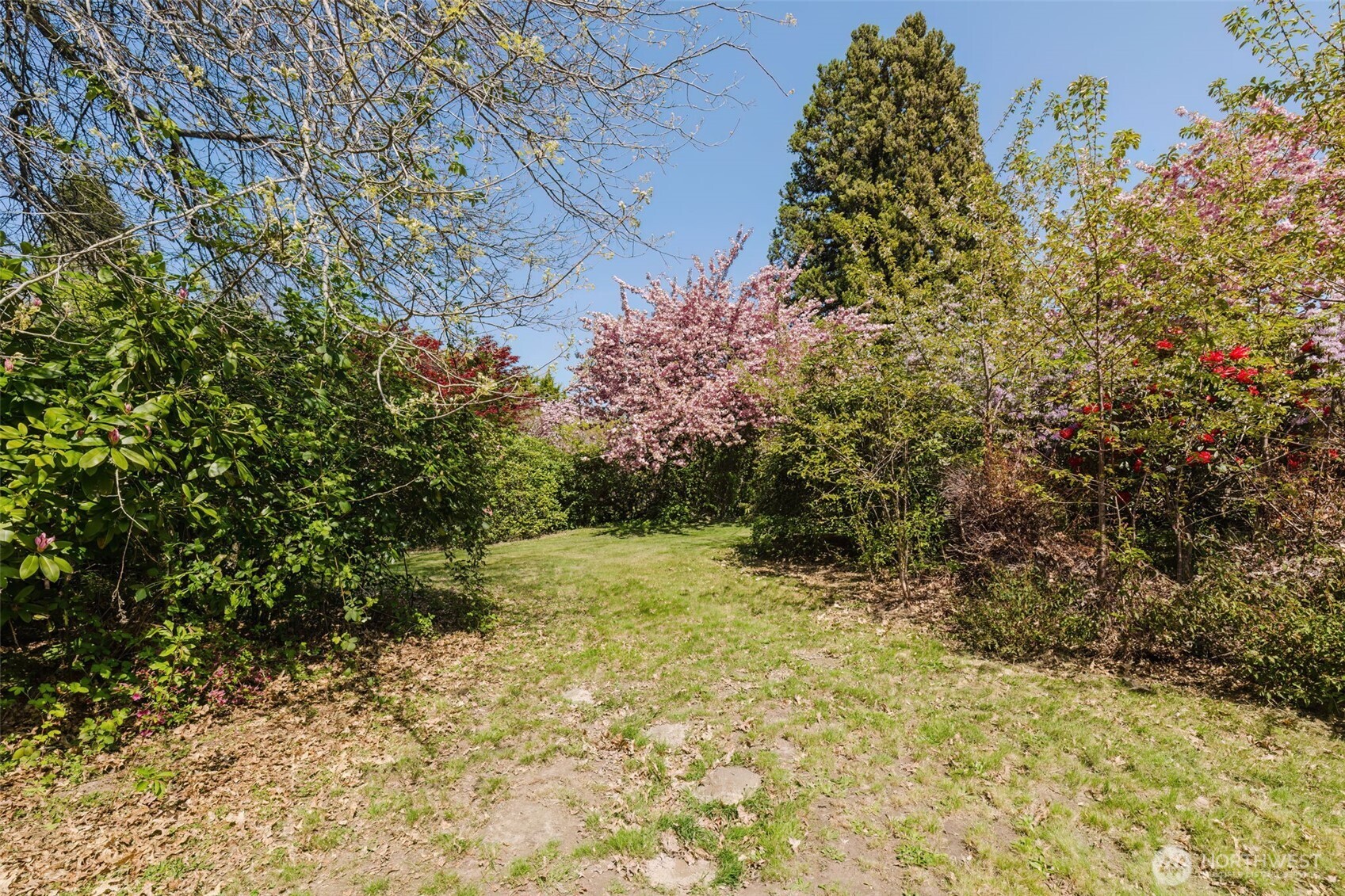 105 Schoolhouse Road Brinnon, WA 98320 - Photo 28 of 39 a view of outdoor space and a yard