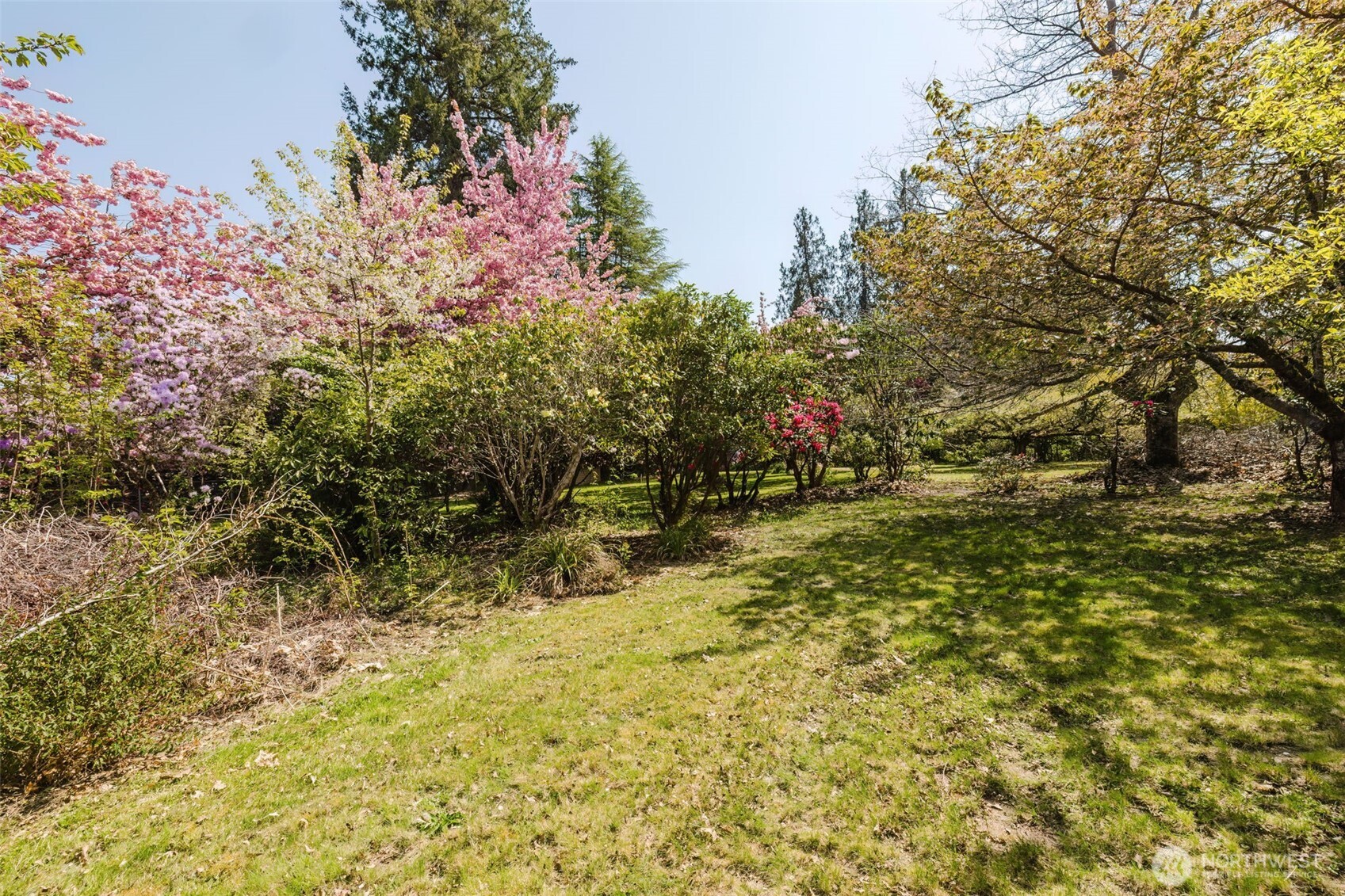105 Schoolhouse Road Brinnon, WA 98320 - Photo 29 of 39 a view of a yard with plants and trees