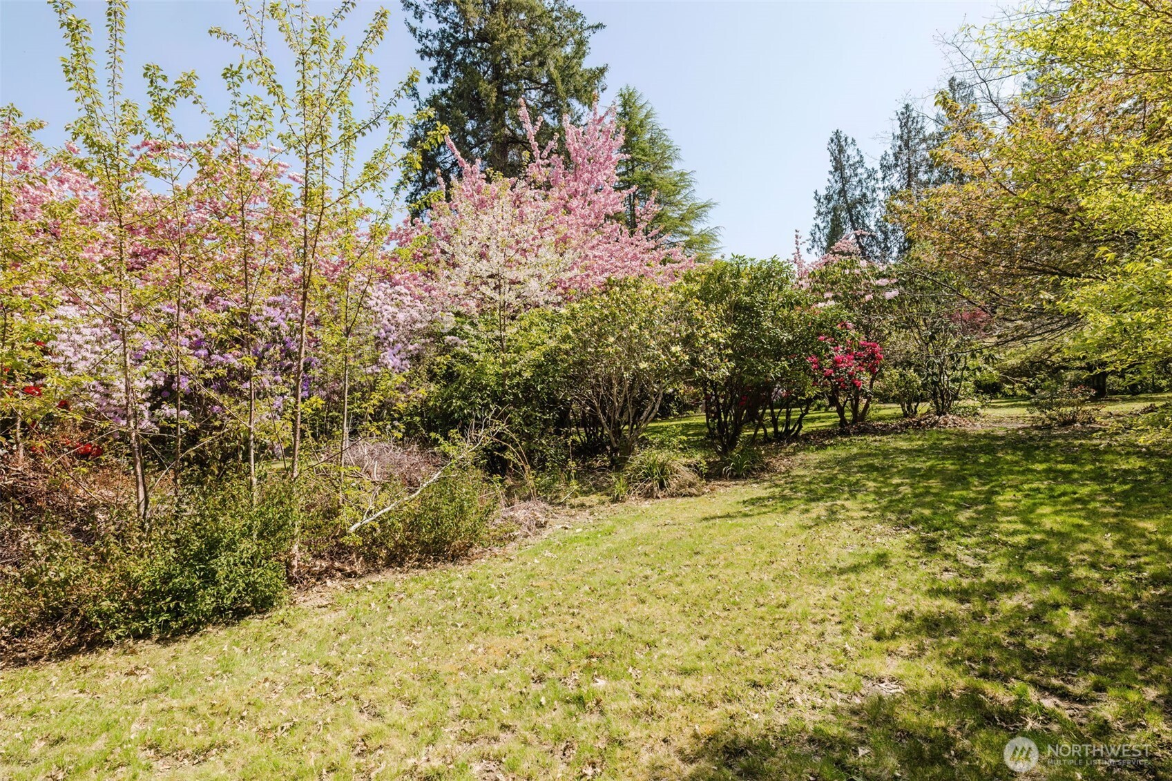 105 Schoolhouse Road Brinnon, WA 98320 - Photo 30 of 39 a view of a yard with trees