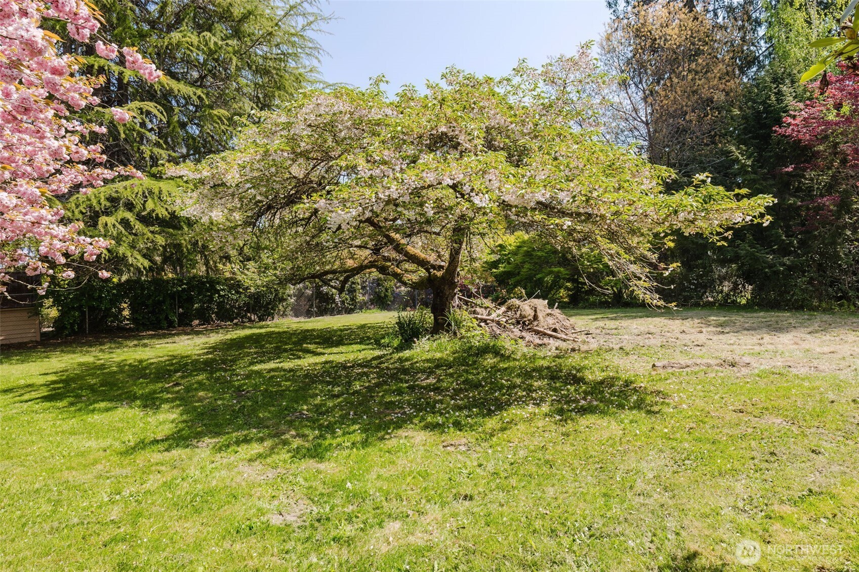105 Schoolhouse Road Brinnon, WA 98320 - Photo 32 of 39 a view of a yard with a tree