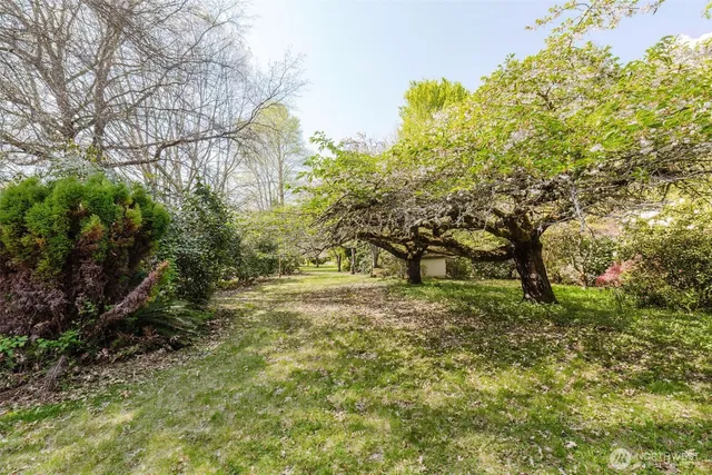 a yard with trees in the background