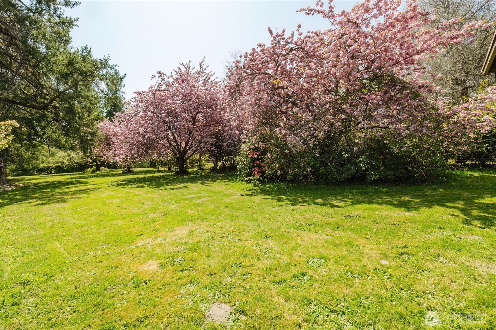 105 Schoolhouse Road Brinnon, WA 98320 - Photo 36 of 39 a view of swimming pool with yard