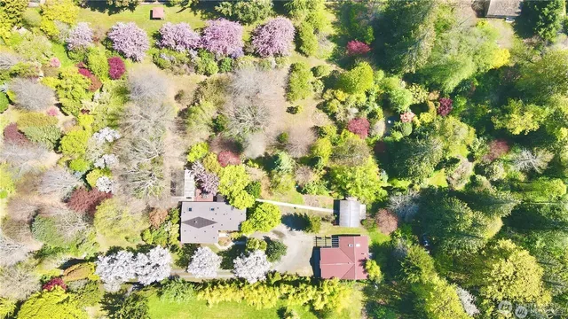 a picture of flowers