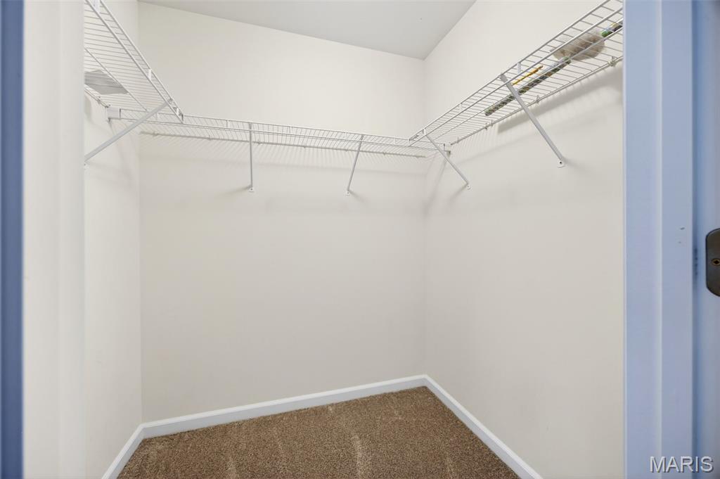 1306 Avondale Spring Drive O'Fallon, MO 63368 - Photo 34 of 74