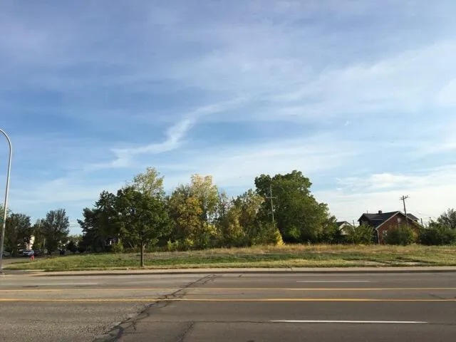$200,000 | 12644 Mack Avenue, Detroit, MI 48215