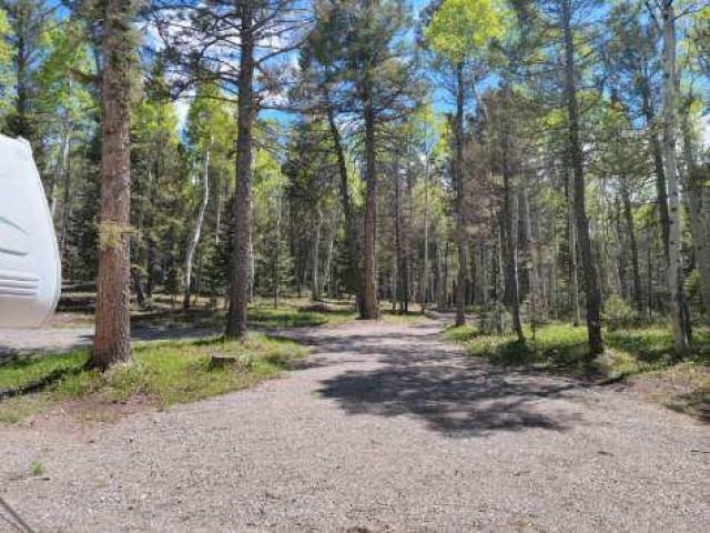 352 Rim Road Cimarron, CO 81220 - Photo 3 of 26 Gallery Image 3