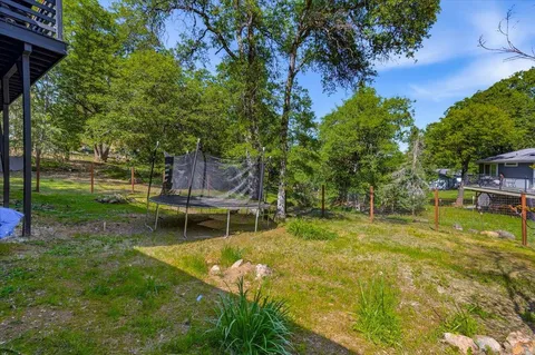 a view of a backyard with plants and a garden