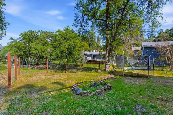 a view of a garden with a tree