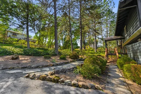 a view of a green field with lots of bushes