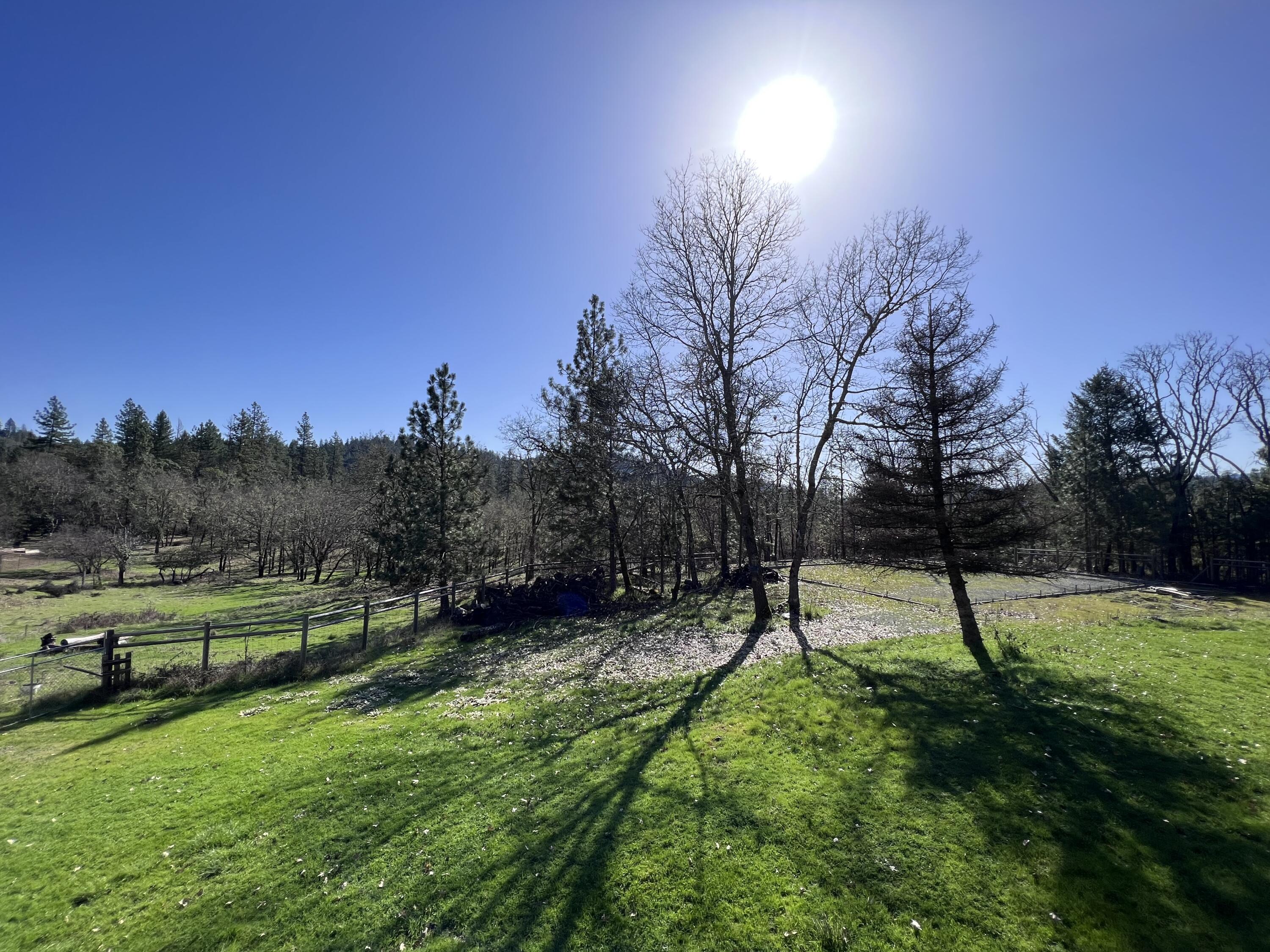 5525 Tunnel Loop Road Grants Pass, OR 97526 - Photo 38 of 65 31.3 landscape