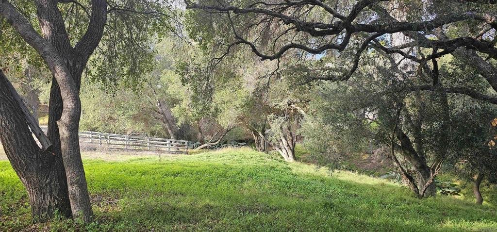 405 Solana Real Fallbrook, CA 92028 - Photo 8 of 11 a view of outdoor space and yard