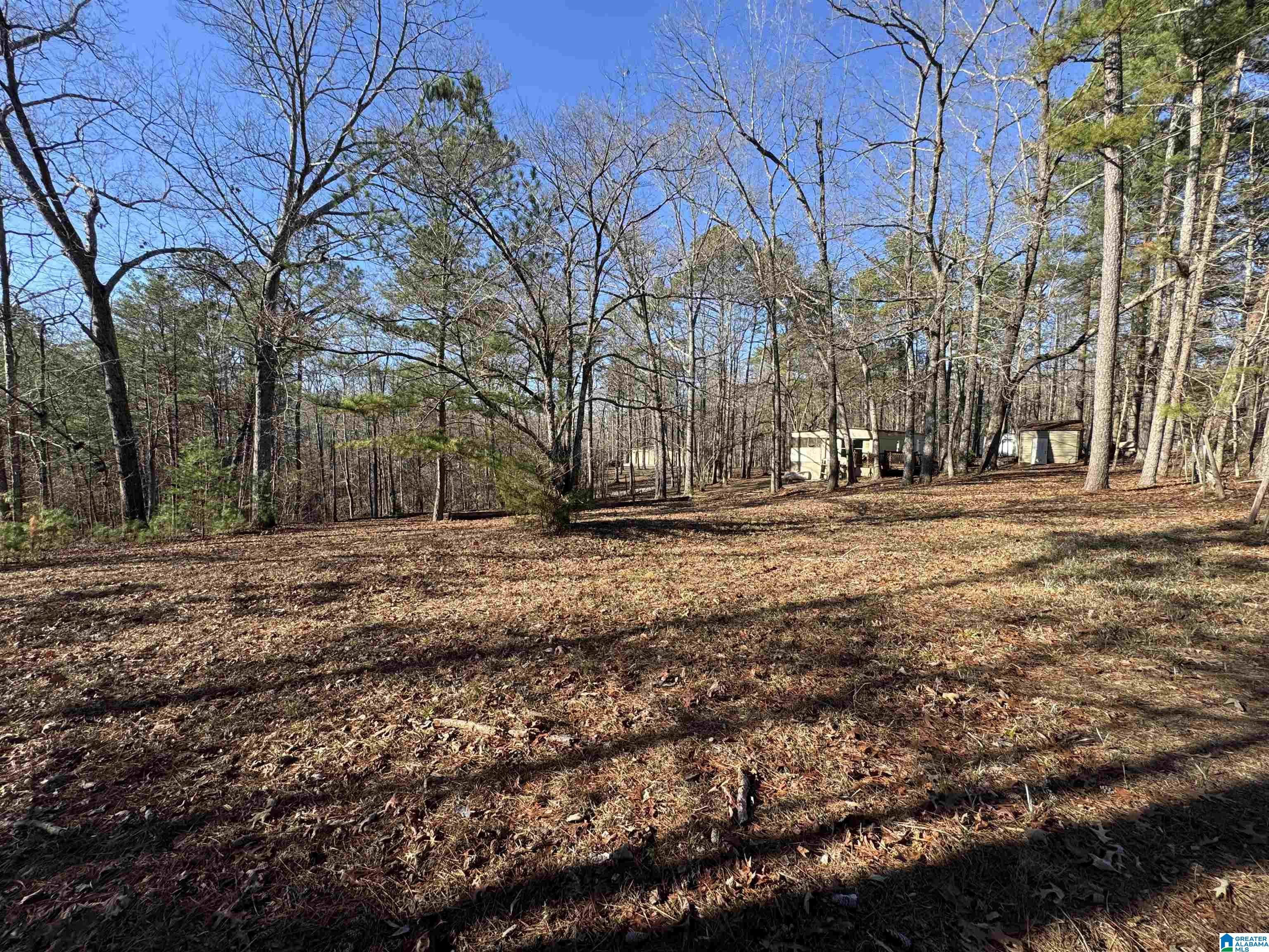 2570 Mt View Road, Unit 13251 Hayden, AL 35079 - Photo 2 of 13